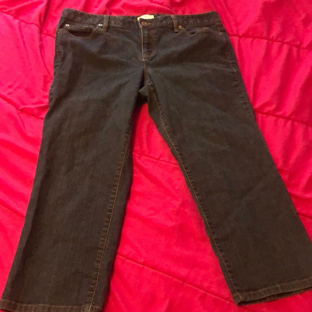 Ann Taylor Loft Jeans Size: 32